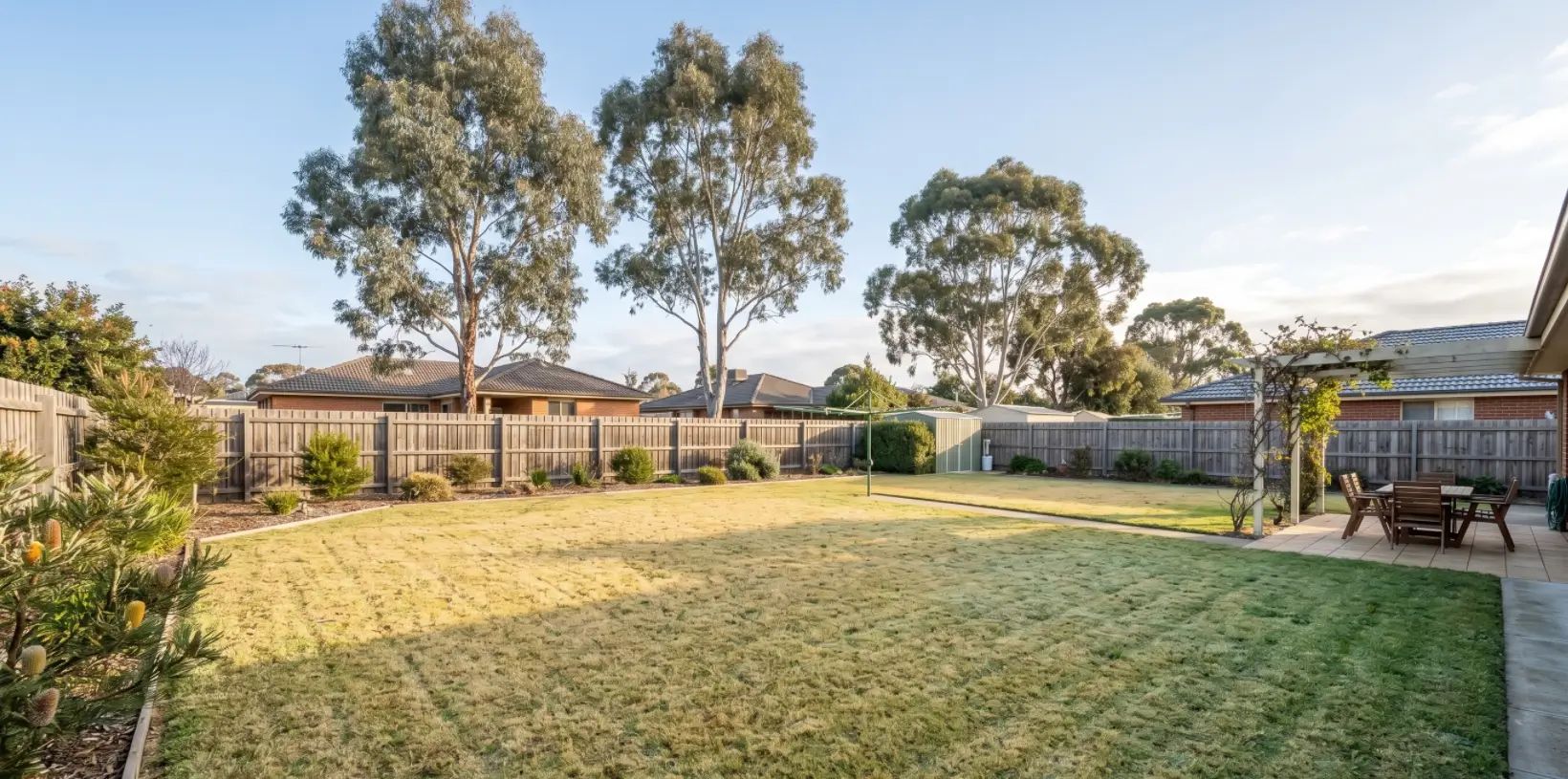 A wide shot of a neat Australian backyard lawn showing natural winter dormancy under soft morning sunlight.