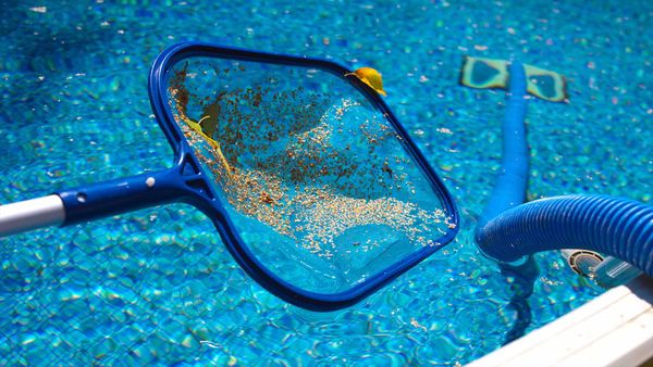A blue pool skimmer net filled with yellow pollen and debris floats on a sparkling blue pool surface.