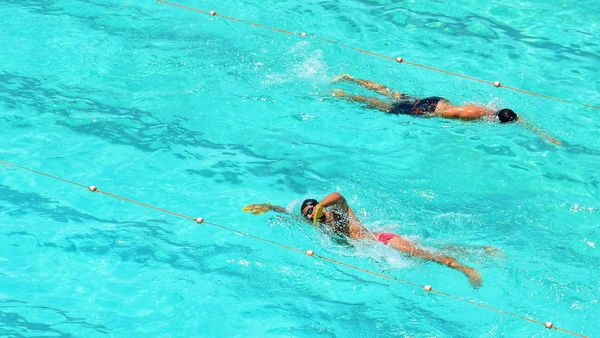 Two people are freestyle swimming