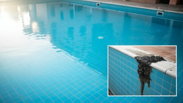 Clean pool with black algae spots, showing how to treat black algae in your pool