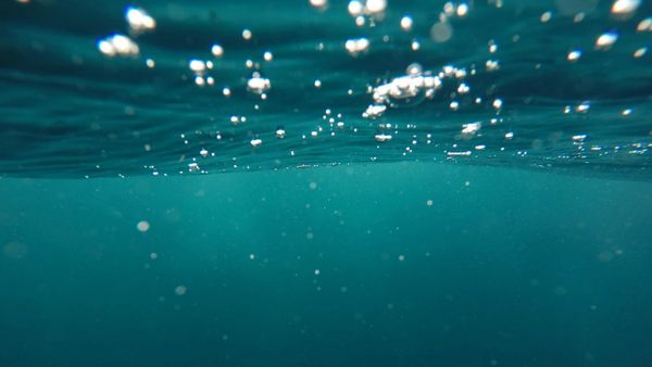 the pool water looks harzard after shocking