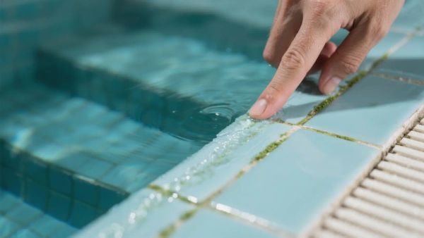 A hand points to a noticeable green and slimy residue along the grout lines of the pool steps and tile, confirming the presence of persistent pool biofilm.