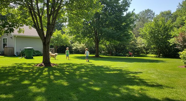Children and a dog playing safely on a lush, green, chemical-free lawn under sunny skies.