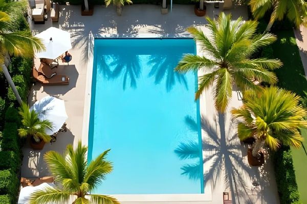 An aerial view of a pristine backyard pool surrounded by palm trees, representing the ideal water clarity achieved by balancing the Langelier Saturation Index.