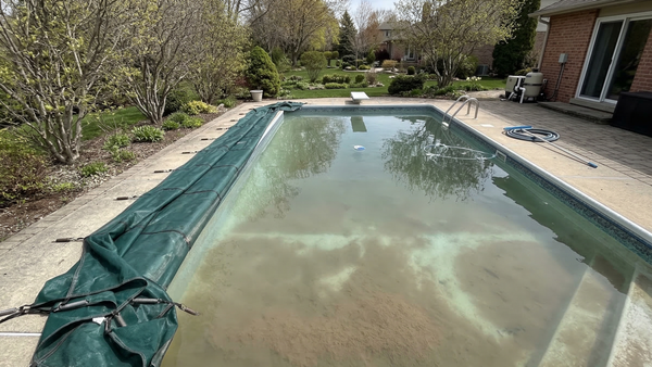 Cloudy swimming pool with algae dust settled on the bottom after removing a winter pool cover.