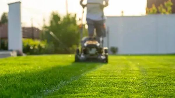 An Australian homeowner mowing the lawn in the sunshine.