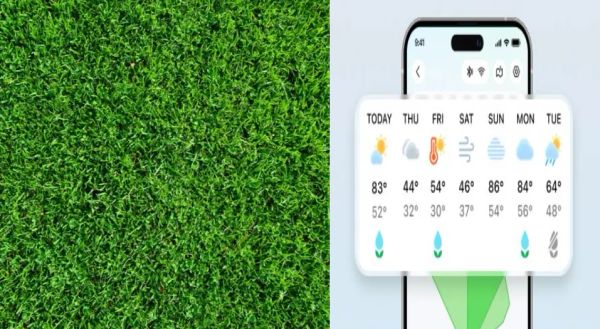 Smart irrigation app displaying weather forecast and watering schedule on a smartphone, with a lush green lawn in the background, illustrating how to save water through smart scheduling.