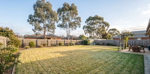A wide shot of a neat Australian backyard lawn showing natural winter dormancy under soft morning sunlight.