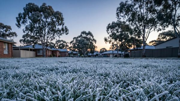 Australian lawn covered in white frost crystals at early dawn.