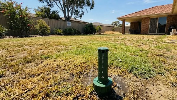 Leaking sprinkler head in a dry patchy lawn, showing low water pressure issues in residential irrigation.