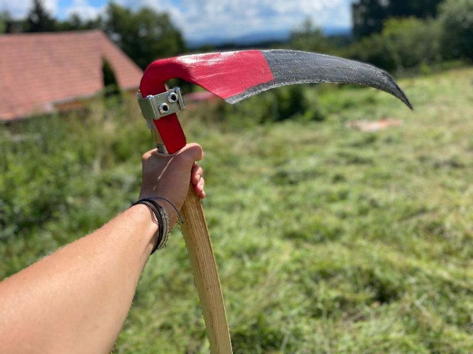 Otevře nám náruč?