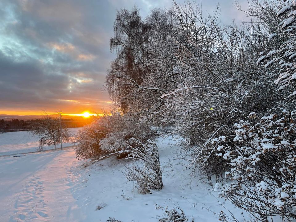 Není to tu nějak moc pomalší