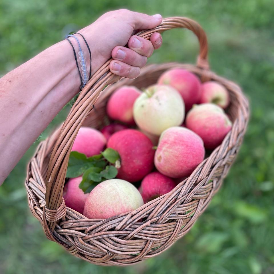 Nádech, výdech, nádech, výdech