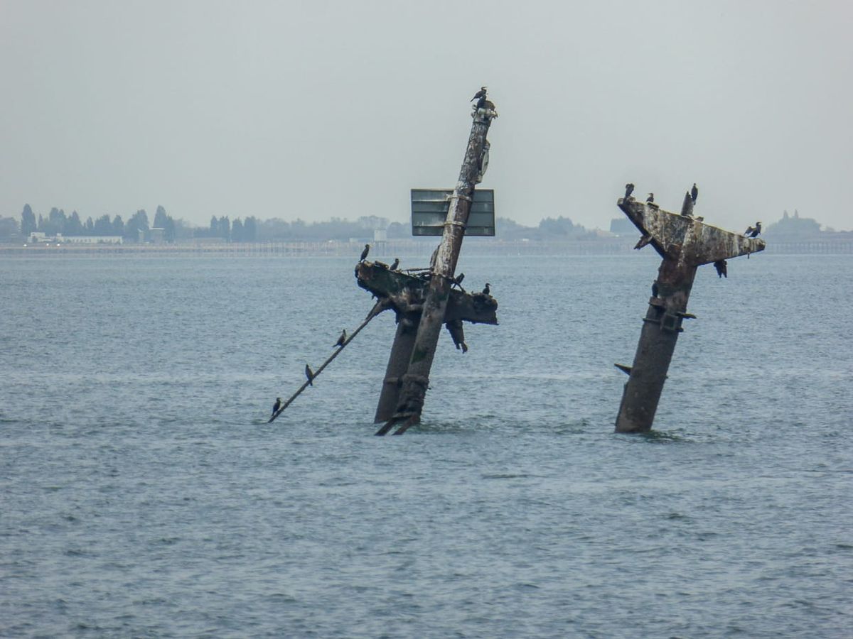 SS Montgomery - in the news - how Insurer of State responds