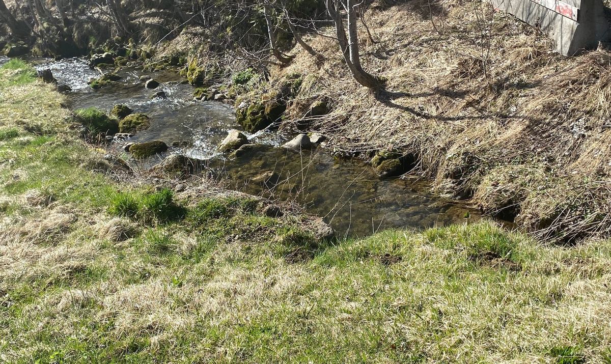 Das sagen die Aargauer Grünen zum Naturschutzprogramm 2030