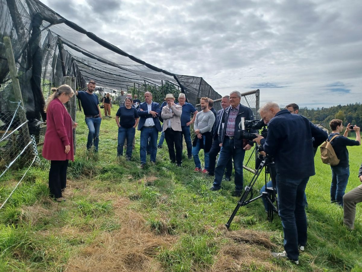 Positive Bilanz zu bienenfreundlicher Landwirtschaft im Aargau