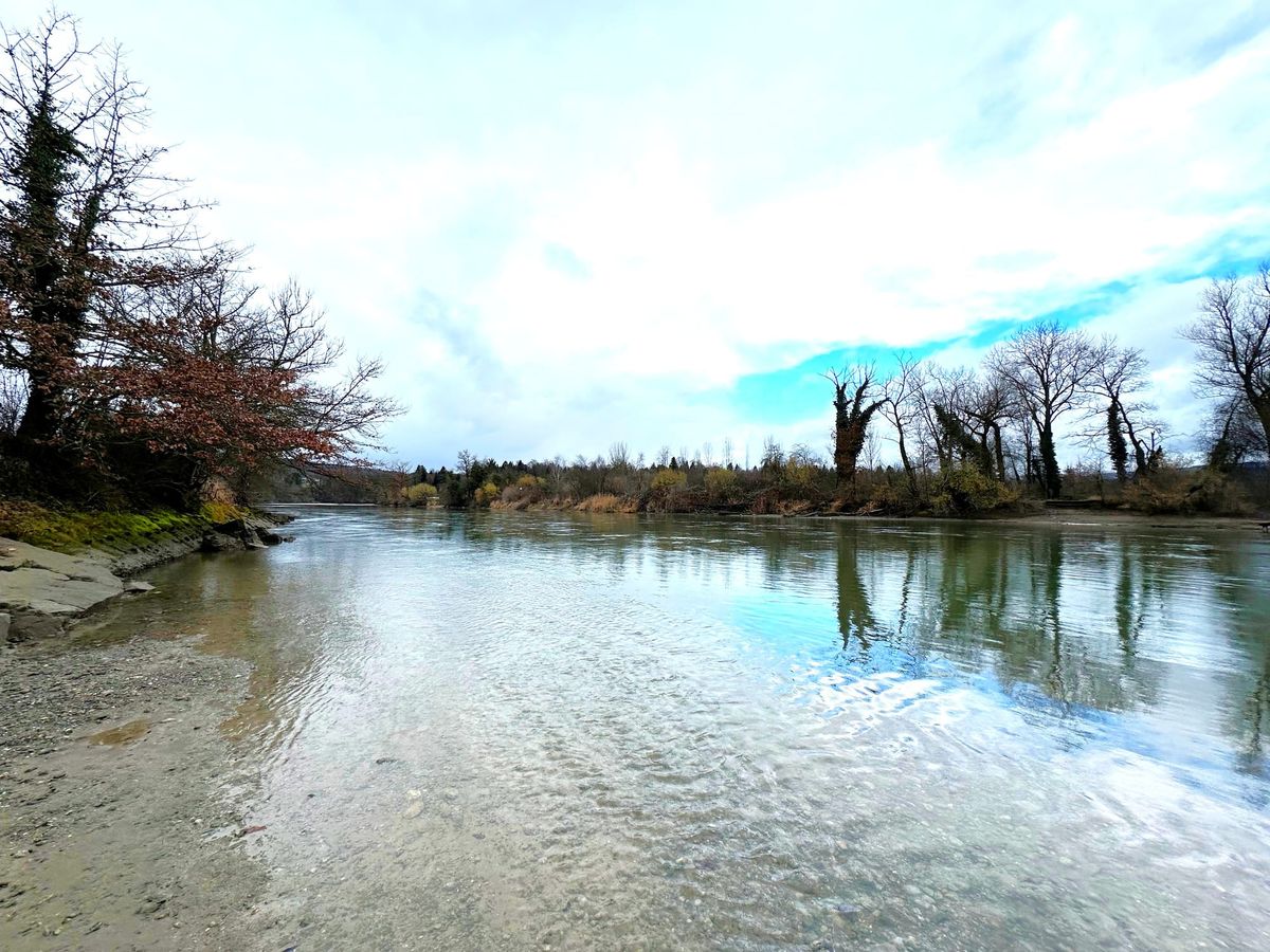 Auenrenaturierung „Grien“ am Flusslauf der Reuss wird realisiert
