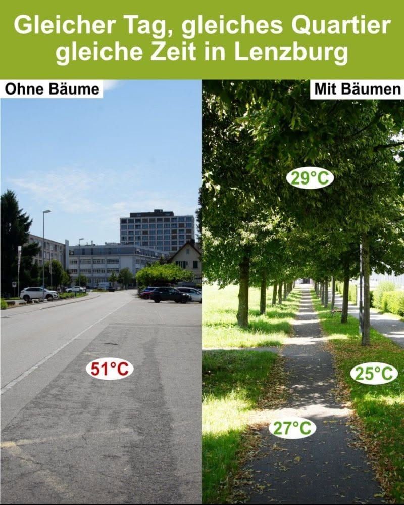 Kühlere Siedlungen dank Entsiegelung von Flächen?