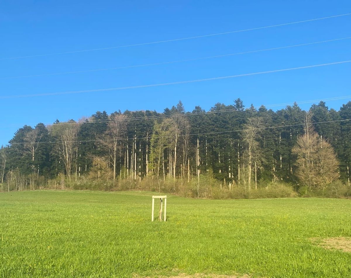 Sensibilisierungskampagne der Waldakteure für den Wald