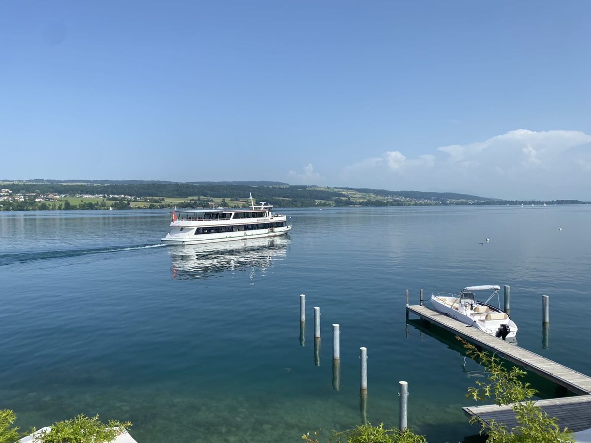 Hallwilersee: Angriff auf 62-jährige
