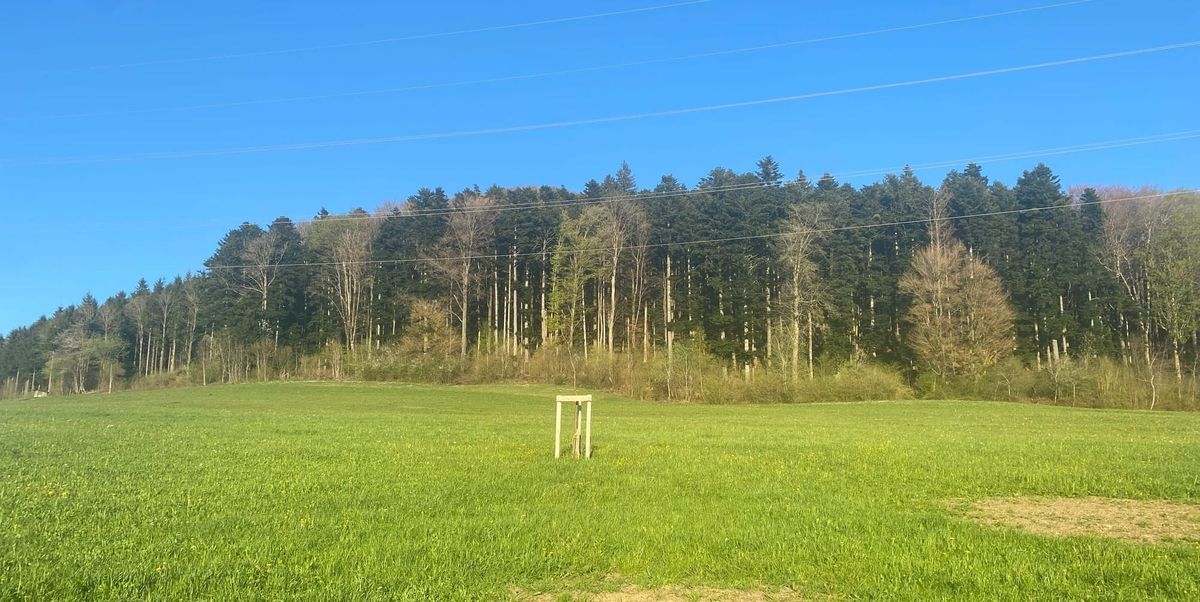 Feuerverbot im Freien wird aufgehoben – Feuerverbot im Wald und am Waldrand bleibt