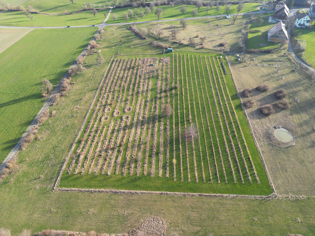 AEW realisiert innovatives Agri-PV-Projekt auf dem Landgut Weitsicht