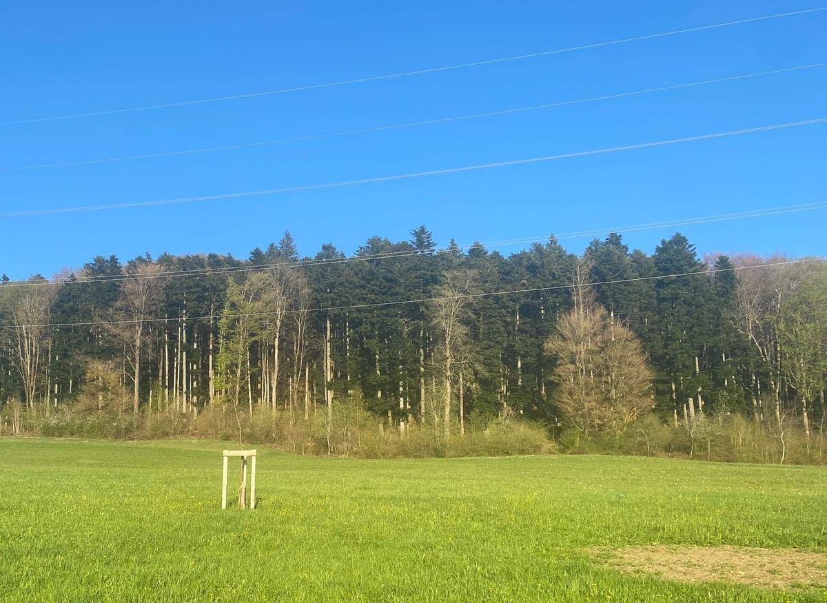 Achtung: Waldbrandgefahr im Aargau weiterhin erheblich