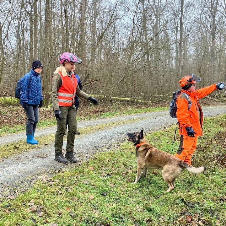 Aargauer Veterinärdienst besucht Ausbruchsgebiet der Afrikanischen Schweinepest im Bundesland Hessen
