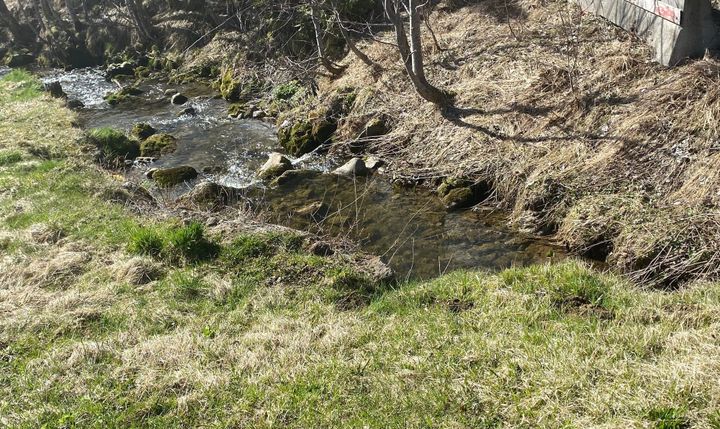 Das sagen die Aargauer Grünen zum Naturschutzprogramm 2030