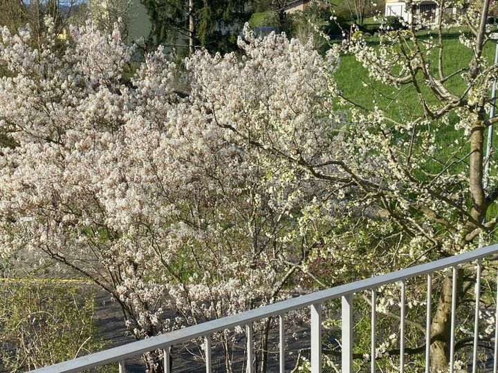 Aargauer Regierung will Biodiversitätsprogramm Labiola verlängern