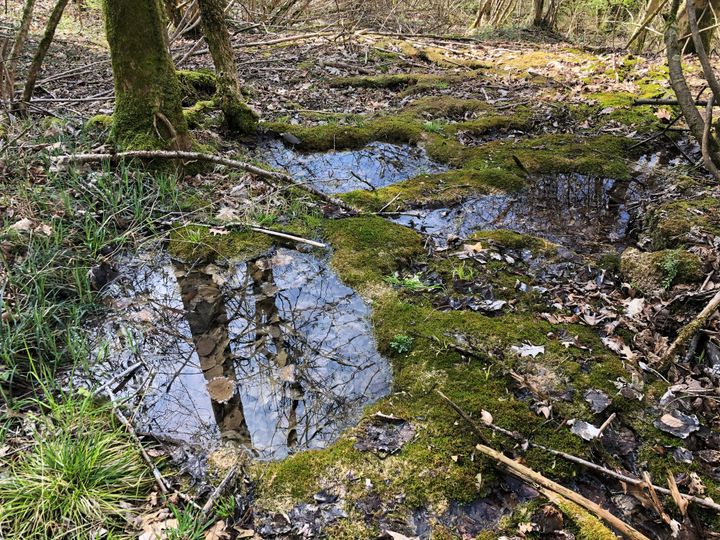 Kantonsweites Quell-Inventar liegt vor