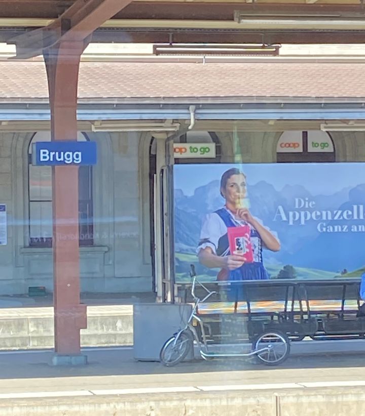 SBB-Arbeiten im Bahnhof Brugg und im Raum Killwangen-Spreitenbach/Wettingen