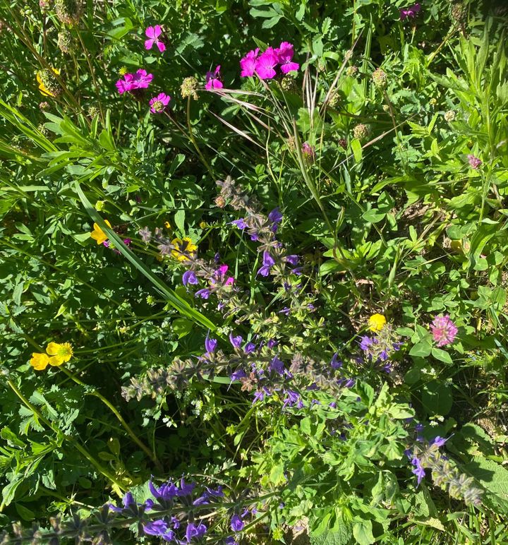 Nach KKW-Streit: Harmonie beim Labiola-Programm - Mittel gesprochen