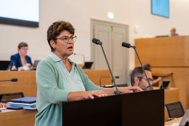 Die Mitte begrüsst Regierungsprojekt Taxoptima