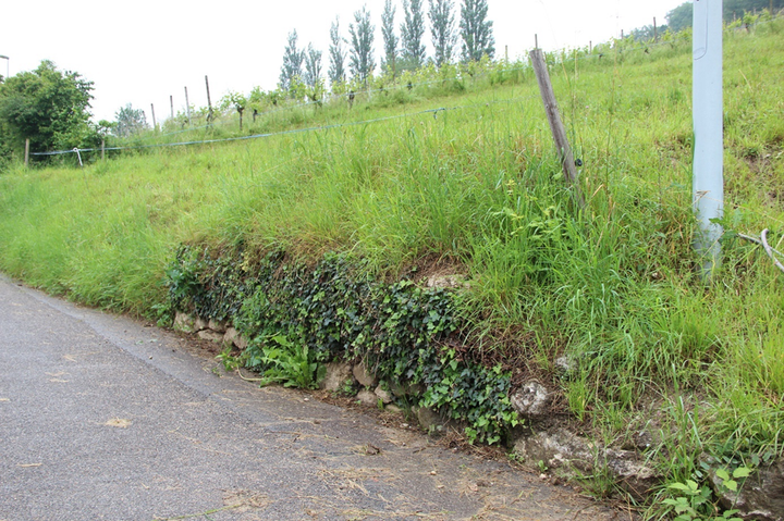 Wettingen: Trockenmauer-Sanierung
