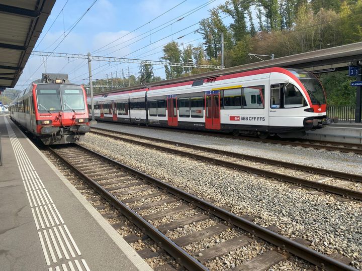 Wieder durchgehender Personen- und Güterverkehr auf der Strecke Winterthur–Basel via Koblenz? - Bundesrat lässt Andreas Meier und Christoph Riner abblitzen