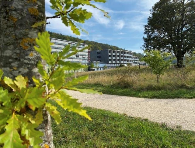 Gesundheit: mehr Mittel zur Abgeltung gemeinwirtschaftlicher Leistungen