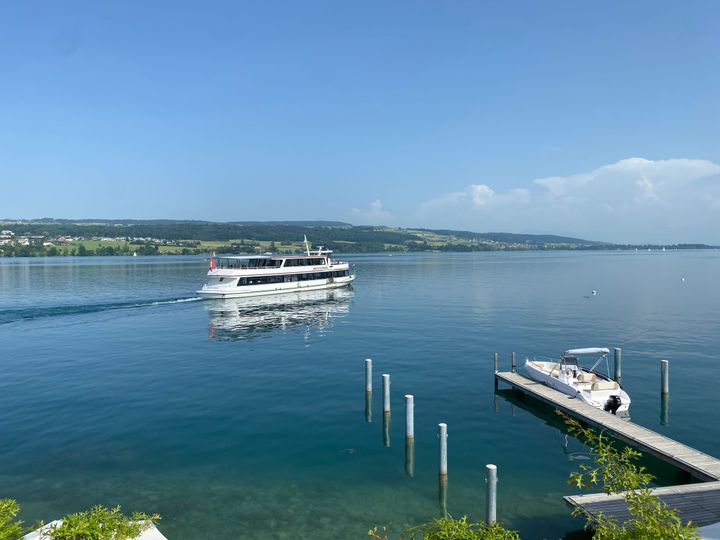 Kanton untersuchte PFAS-Belastung von wildlebenden Fischen - Hecht aus dem Hallwilersee darf derzeit nicht kommerziell vermarktet werden