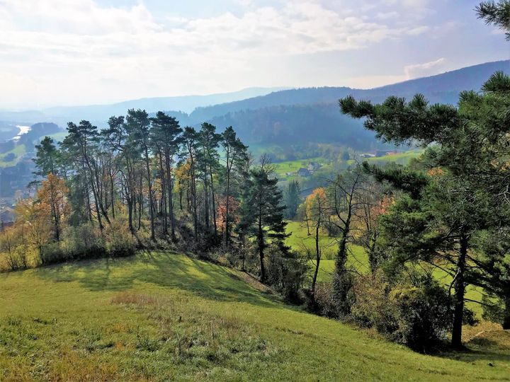 Abbruchprämien: für Pro Natura eine gute Idee mit Risiken für Fehlanreize
