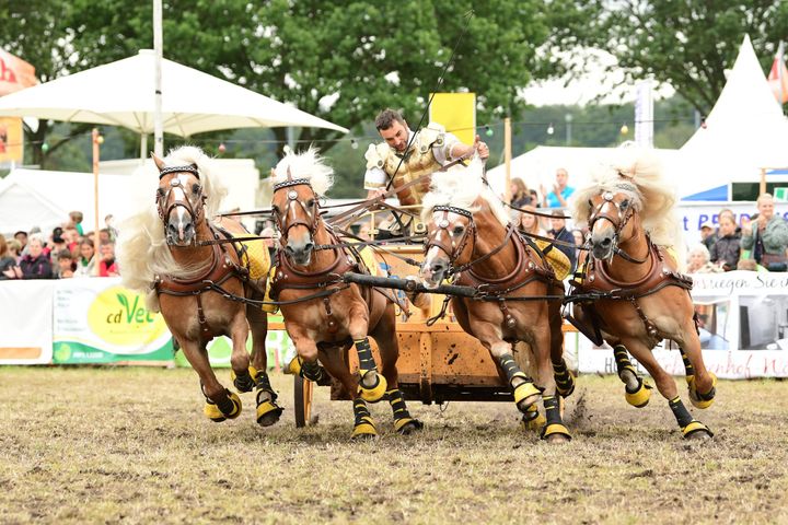 Römertag in Vindonissa mit Wagenrennen, Gladiatoren und römischem Alltag am 7. Juni