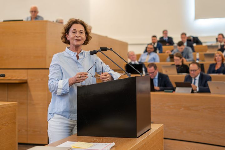 FDP will Asylpolitik neu ausrichten und stellt einen Antrag auf Direktbeschluss