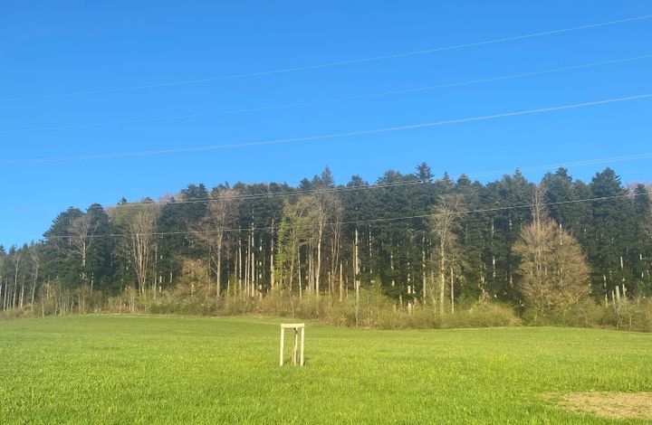 Grosse Waldbrandgefahr: Feuerverbot im Aargau im Wald und am Waldrand