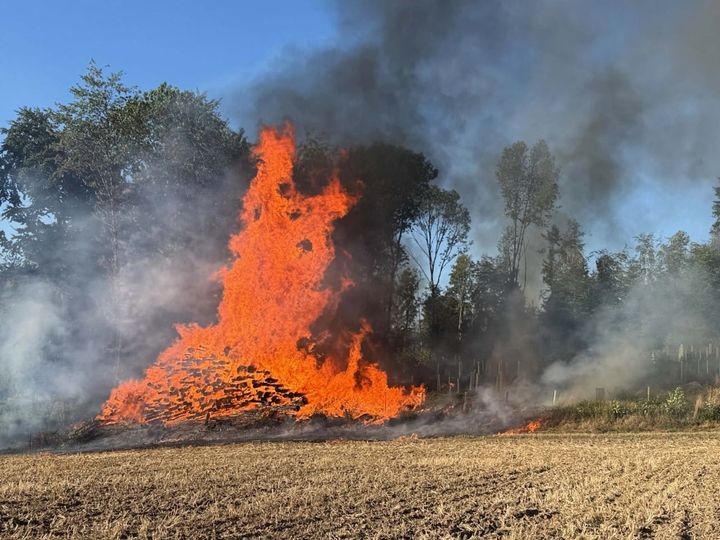 Koblenz: Grosseinsatz der Feuerwehr wegen Brand eines Holzlagers