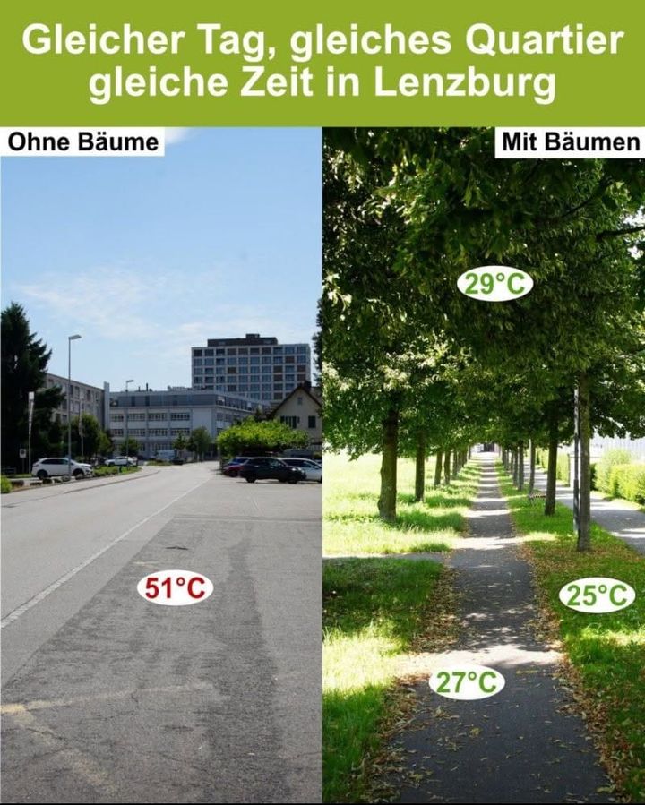 Kühlere Siedlungen dank Entsiegelung von Flächen?