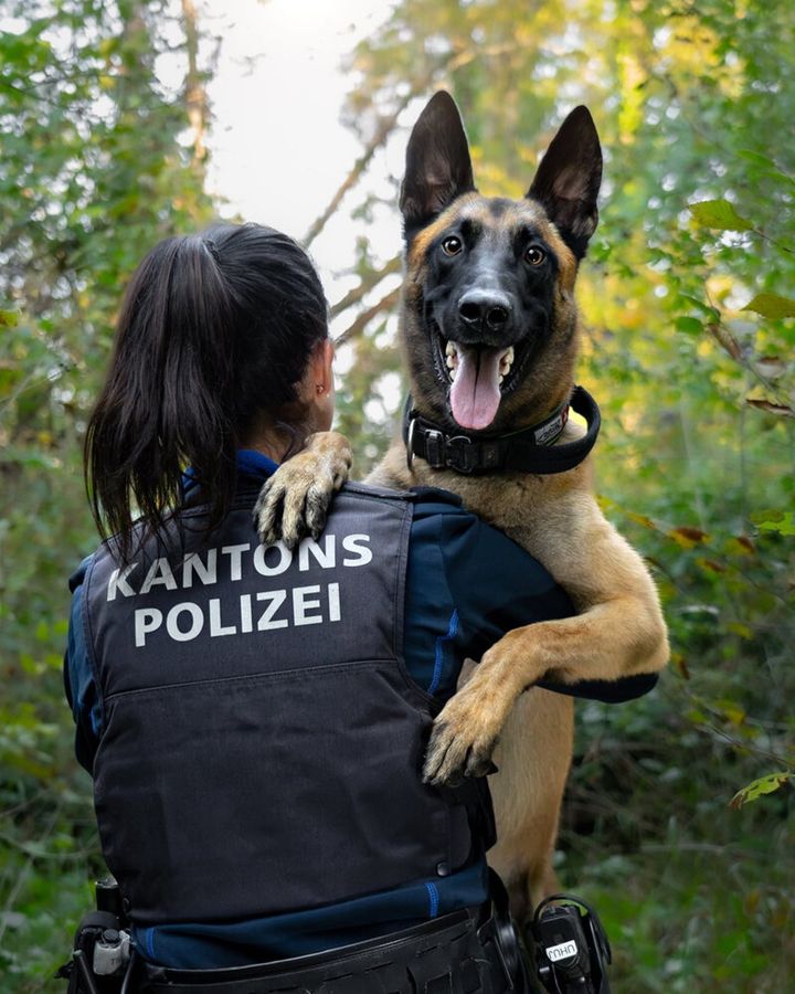 Vogelsang: Diensthund Malouk spürt mutmassliche Einbrecher auf
