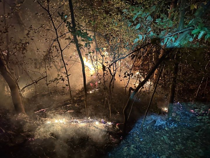Möriken: Waldbrand unter Kontrolle gebracht