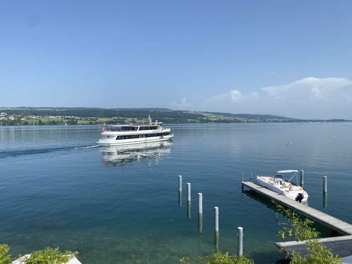 Hallwilersee: Angriff auf 62-jährige