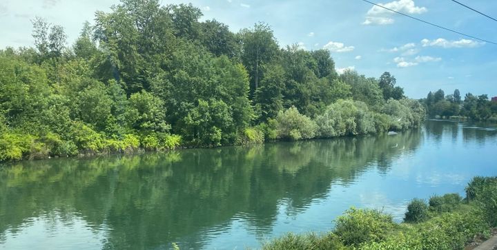 Riesenstress für Fische: kleinere und mittlere Gewässer nicht mehr betreten oder gar darin baden