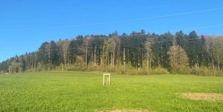 Feuerverbot im Freien wird aufgehoben – Feuerverbot im Wald und am Waldrand bleibt