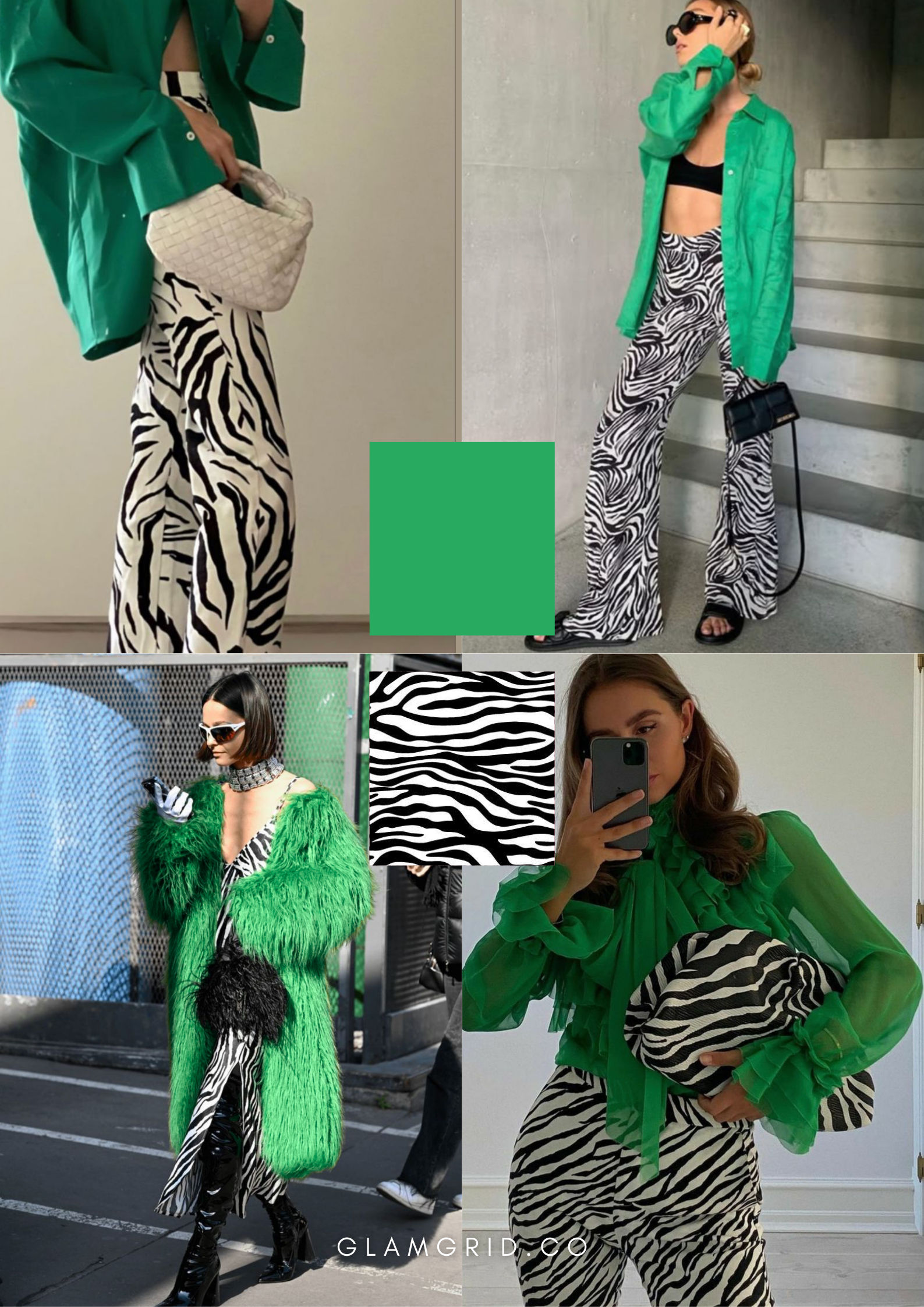 Trending Fall Prints 2025: Zebra
